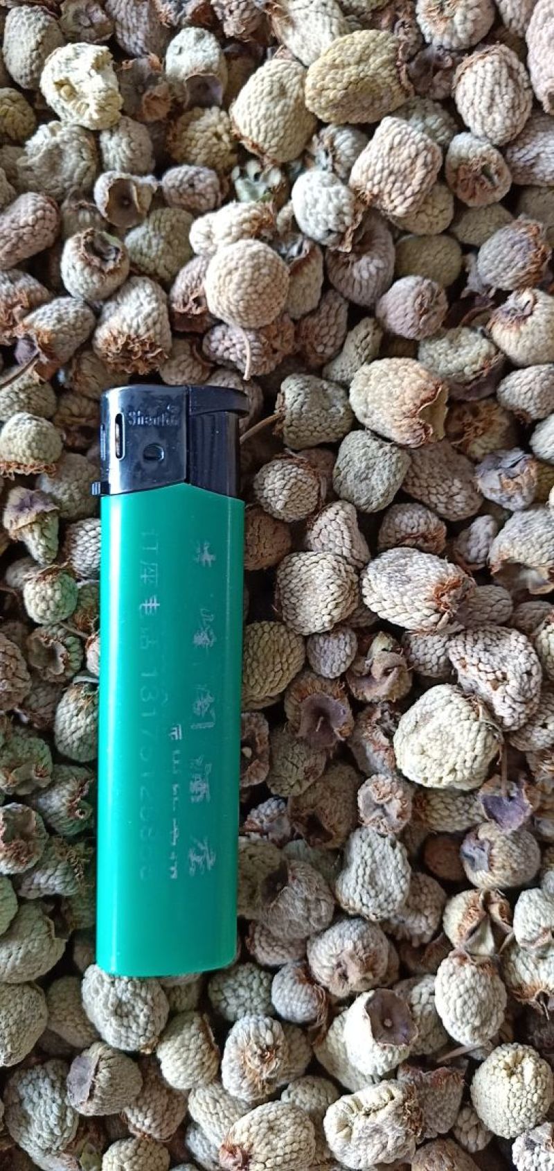 供应掌叶覆盆子干货(含量达标)中药材覆盆子