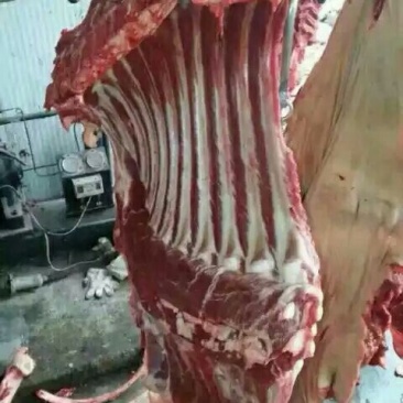 驴排骨驴头鲜驴肉带皮驴肉