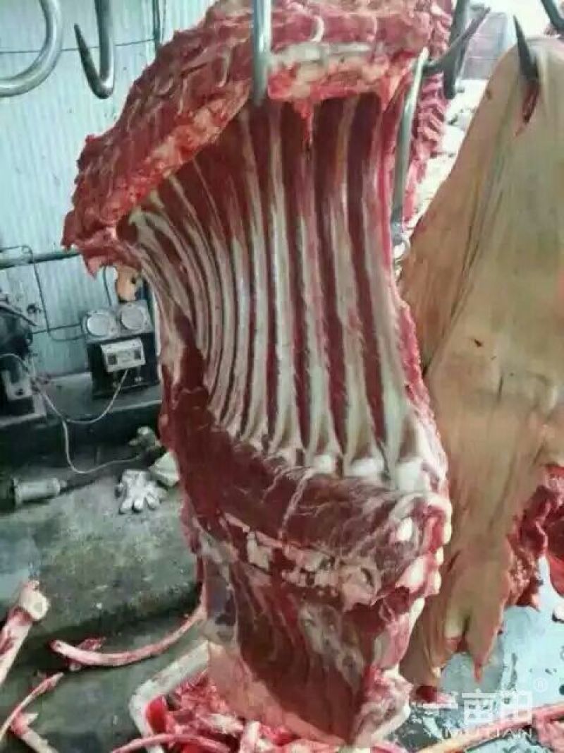 驴排骨驴头鲜驴肉带皮驴肉