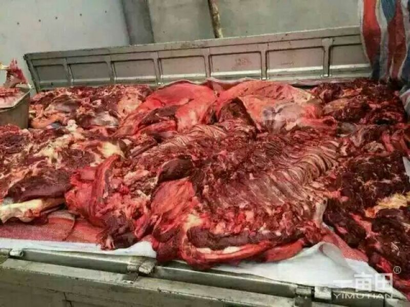 驴排骨驴头鲜驴肉带皮驴肉