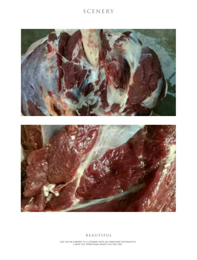 驴排骨驴头鲜驴肉带皮驴肉
