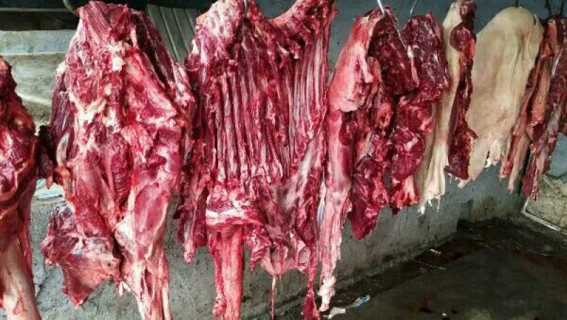 驴排骨驴头鲜驴肉带皮驴肉