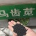 马齿苋种子包发芽支持货到付款野菜种子