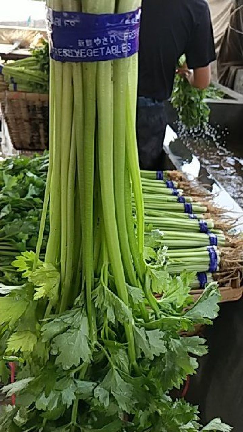 四季小山芹，超市，市场直供