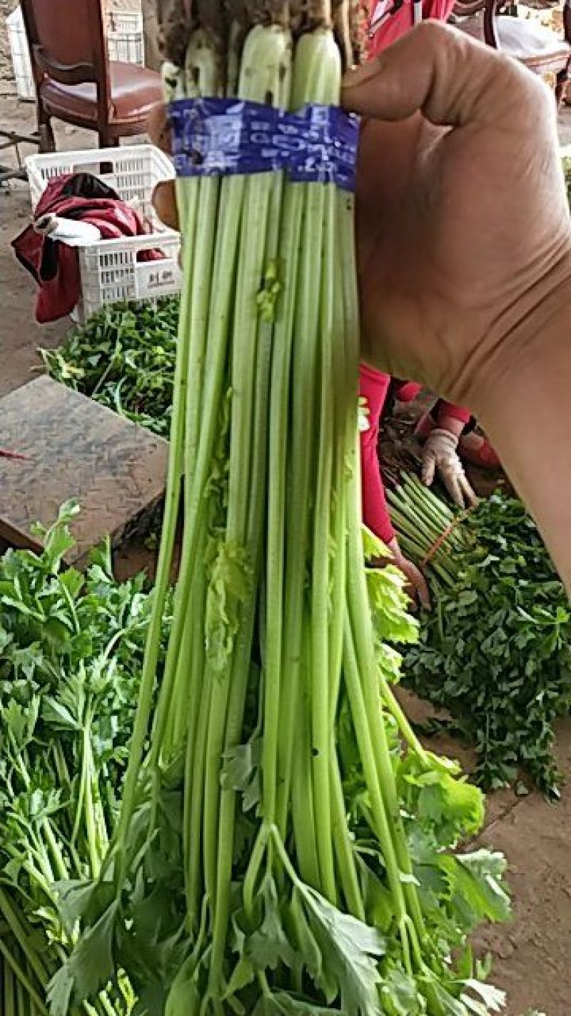 四季小山芹，超市，市场直供