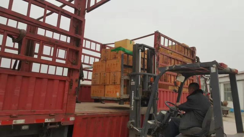 新疆和田大枣产地代加工规格全价格低
