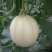 暖棚头茬东方蜜
