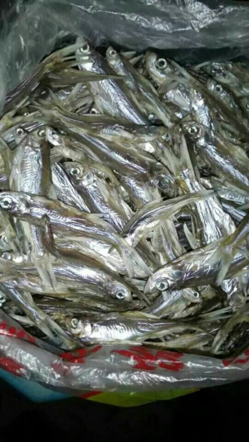 油炸和晒干的蓝刀鱼仔