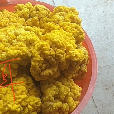 云金耳（一级）