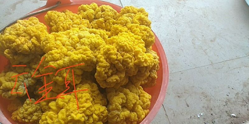 云金耳（一级）