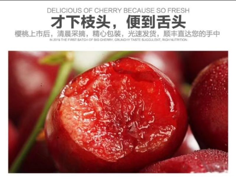 泰安露天大樱桃