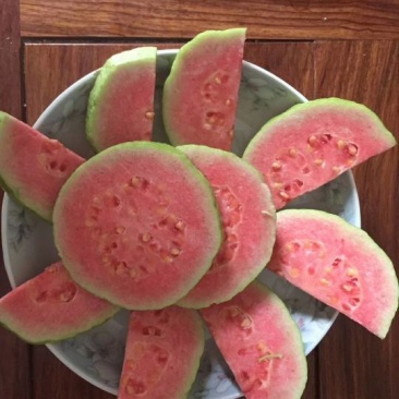 红肉番石榴