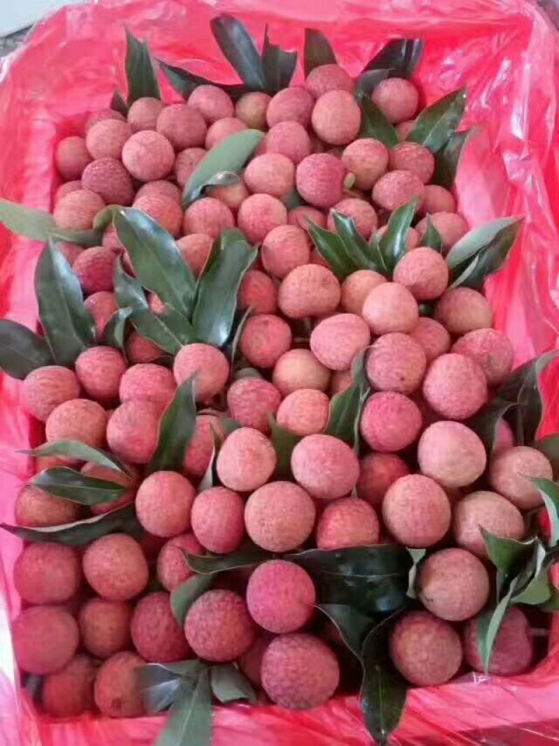 荔枝