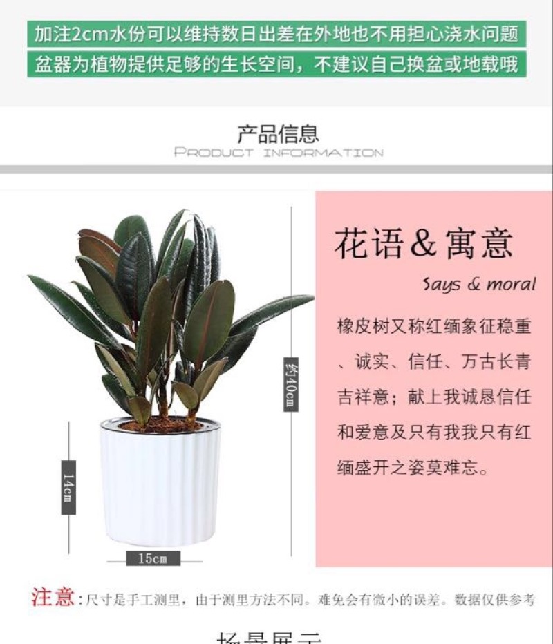 小金刚