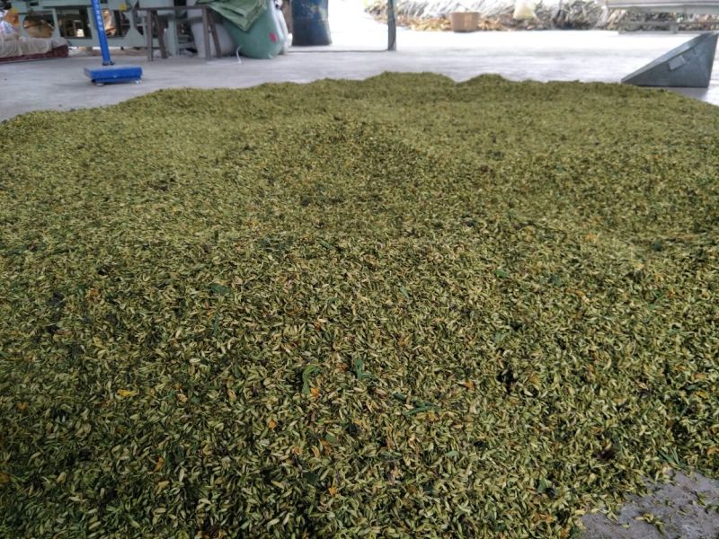 金银花统花