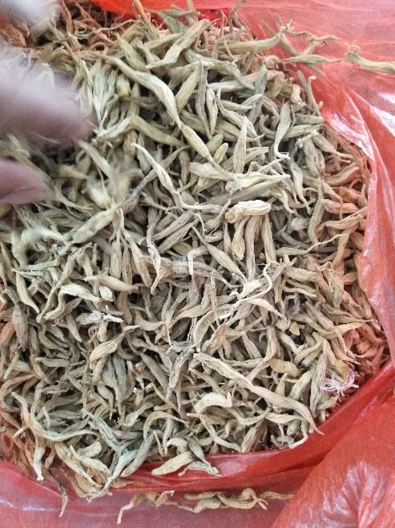 野生麦冬