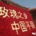 玫瑰花蕾