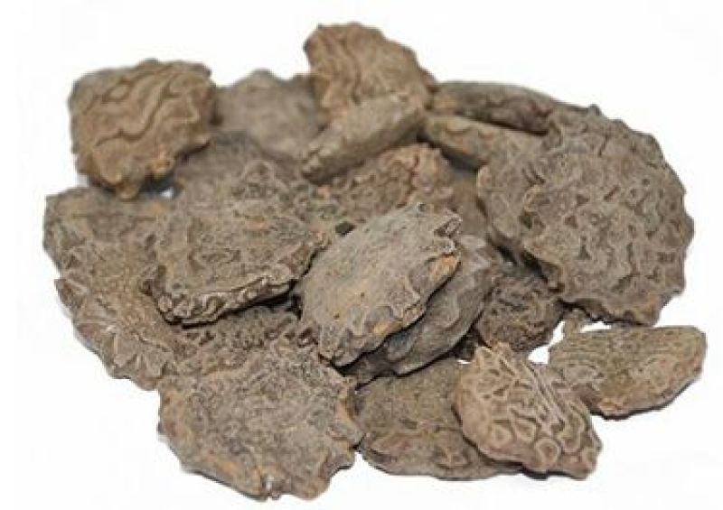木鳖子广西干货量大从优2斤起包邮