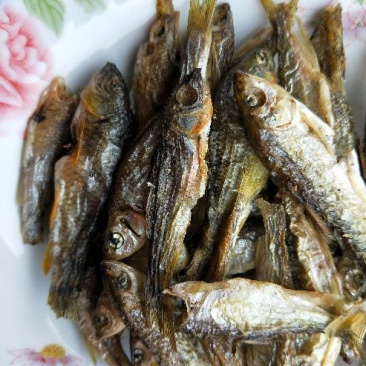 河鱼干