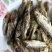 河鱼干