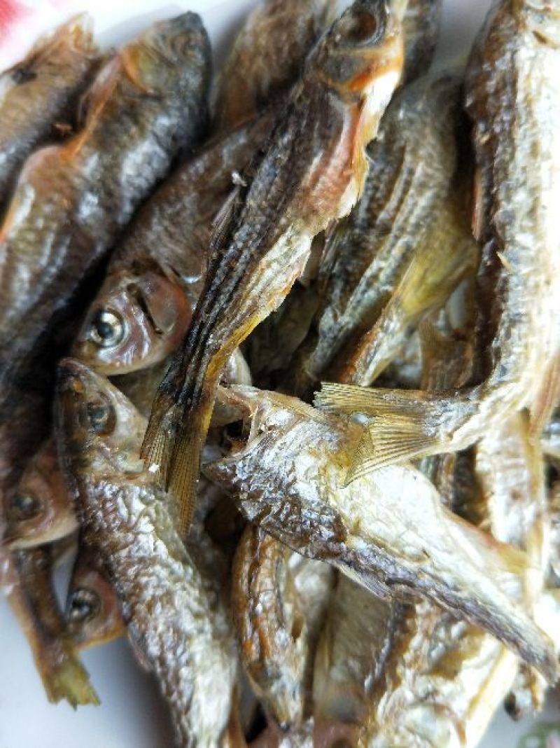 河鱼干