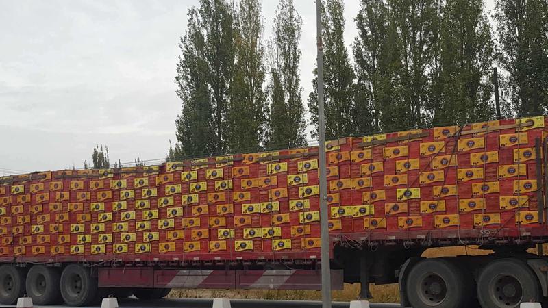 新疆红枣货源充足常年大量供应可按客户要求做各种包装