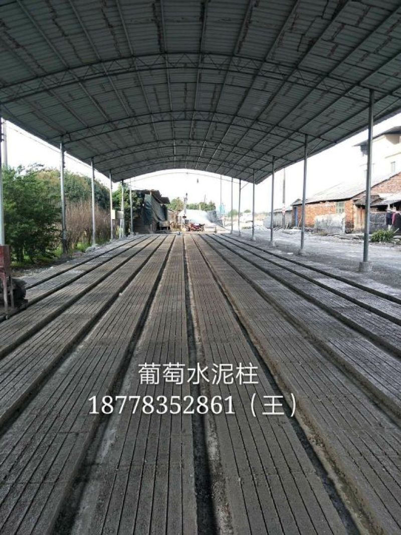 百香果