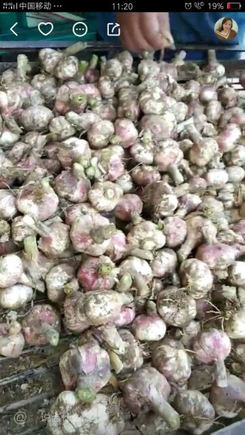 量大质量一流