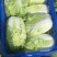 大白菜4~6斤净菜净菜