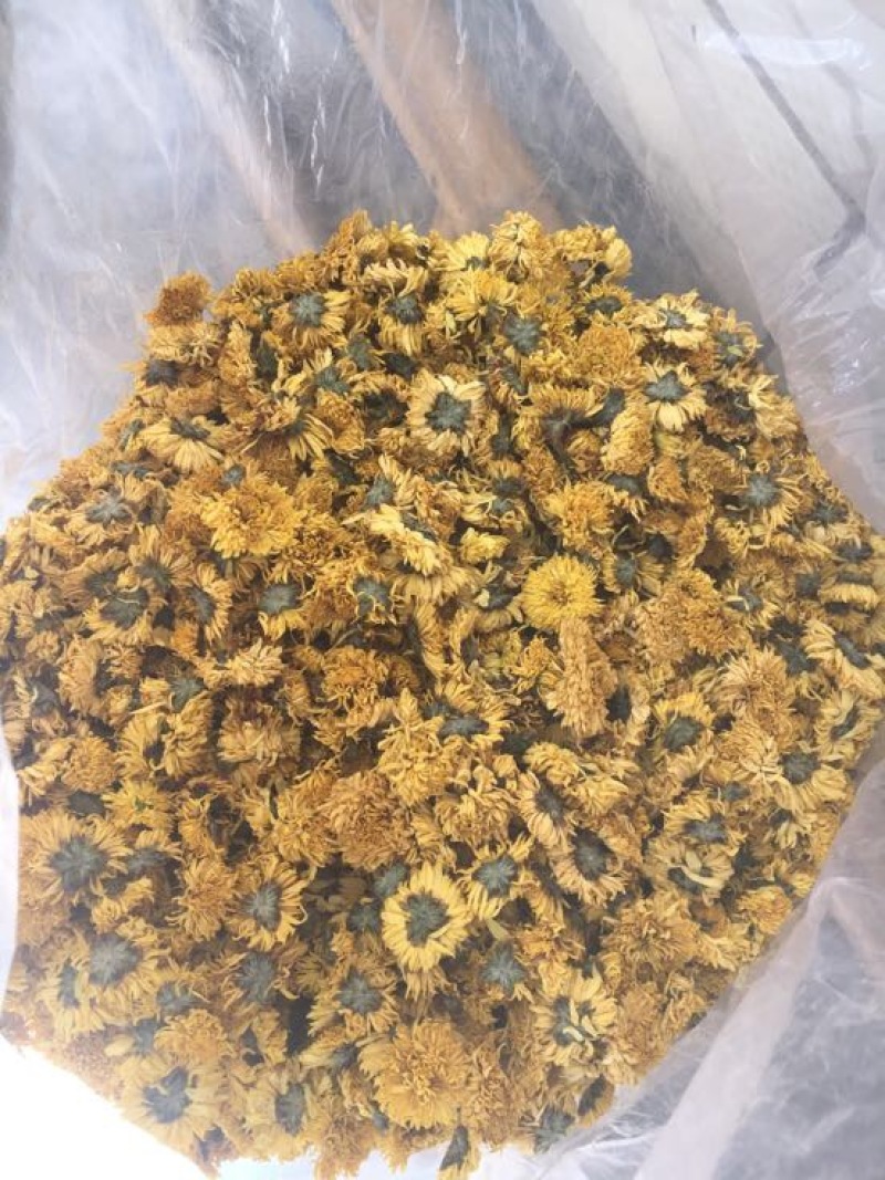 干菊花