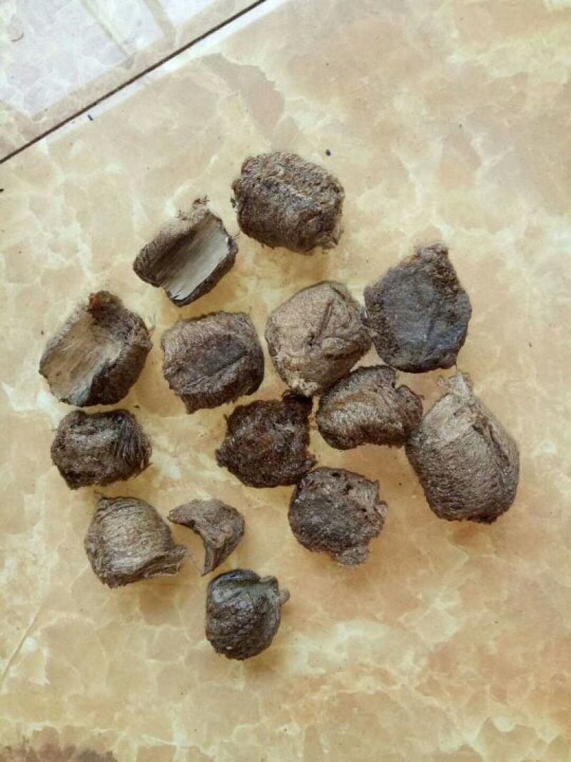 桑螵蛸熟大绵生大绵纯干货