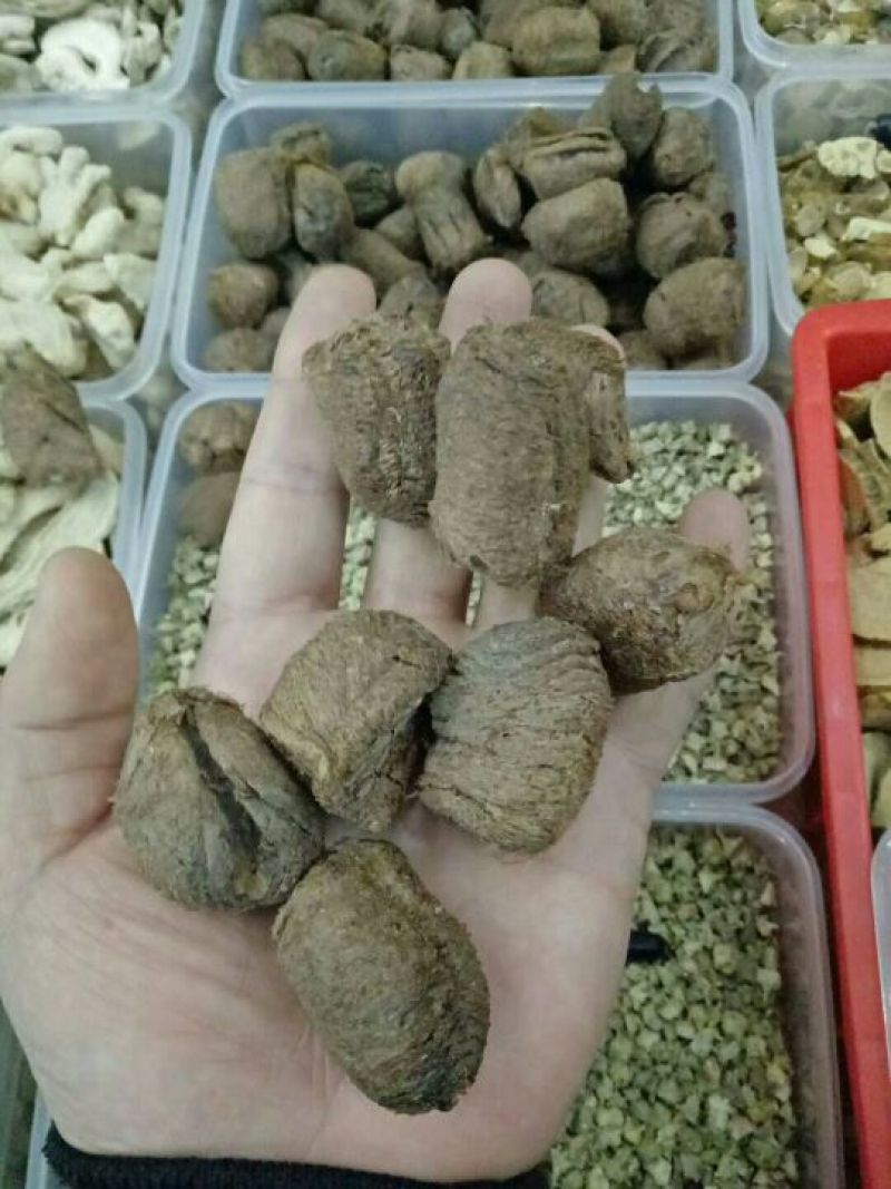 桑螵蛸熟大绵生大绵纯干货
