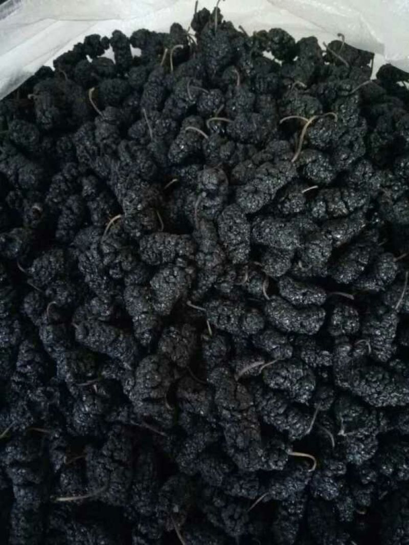 水洗桑葚干包邮无硫杀菌水洗药食两用泡水干吃