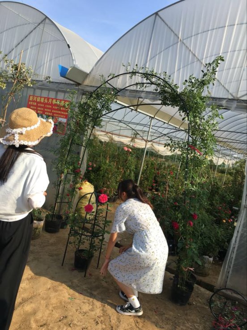 花架子铁