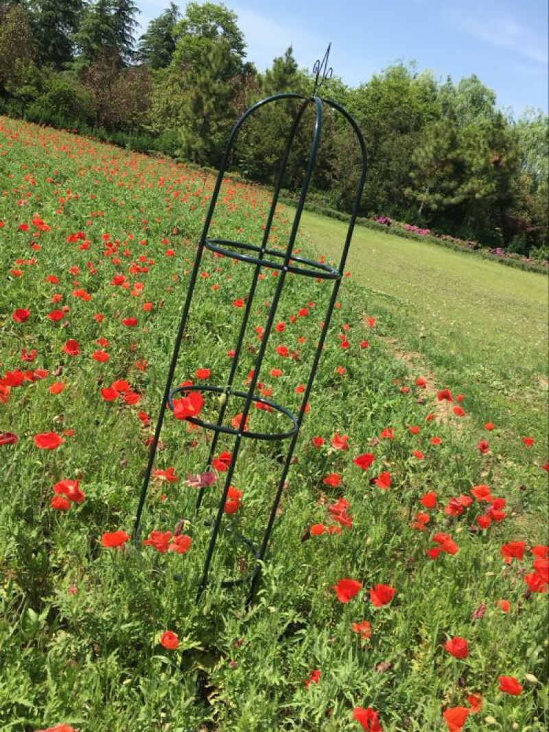 花架子铁