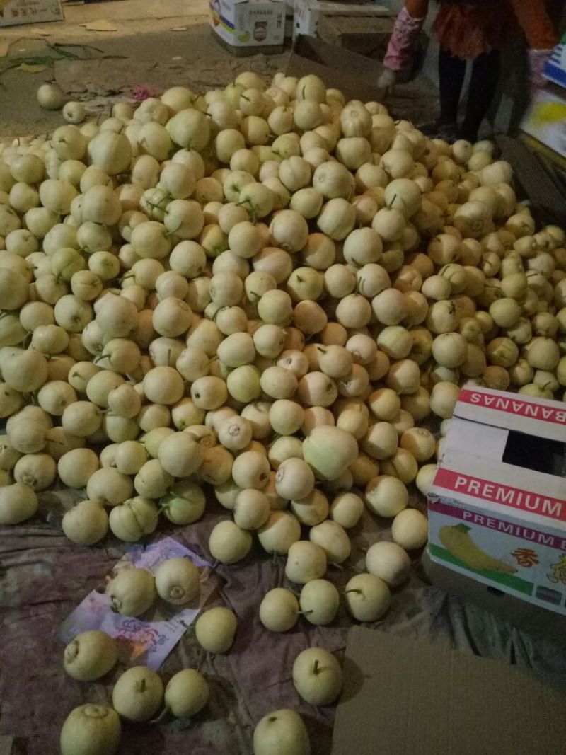 【推荐】香甜可口沙土地芝麻脆大量有货欢迎合作