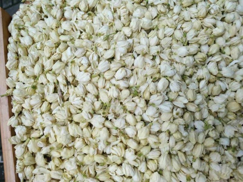 茉莉花苞茉莉花雪球花干茉莉花苞茶横县茉莉花干