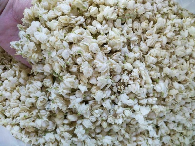 茉莉花苞茉莉花雪球花干茉莉花苞茶横县茉莉花干