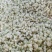 茉莉花苞茉莉花雪球花干茉莉花苞茶横县茉莉花干
