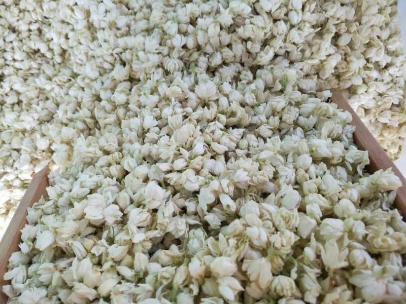 茉莉花苞茉莉花雪球花干茉莉花苞茶横县茉莉花干