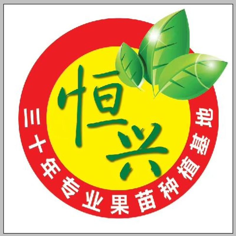 释迦苗台湾凤梨释迦苗