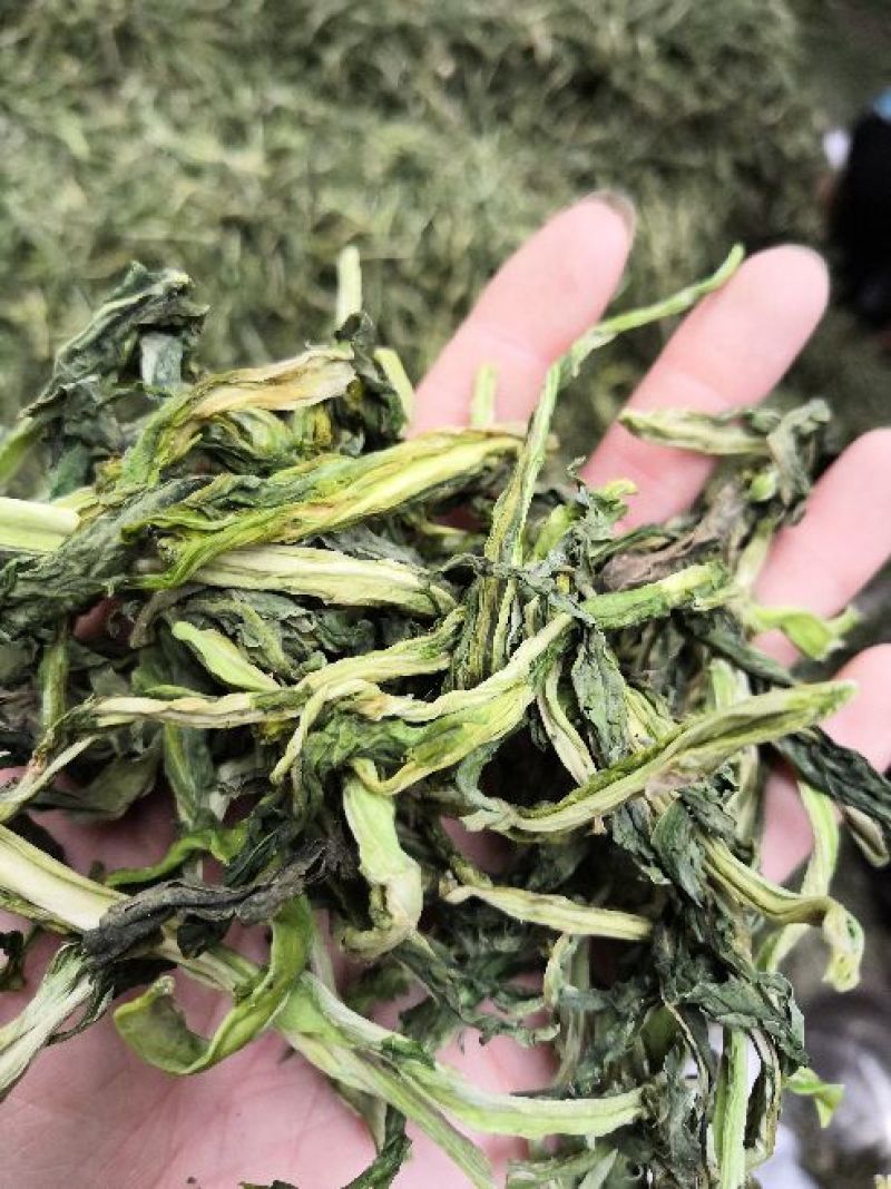 山野菜新鲜山野菜新鲜山菜贡菜叶野菜贡菜头