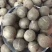非洲海椰皇