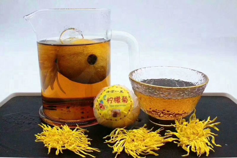 正宗金丝柠檬菊