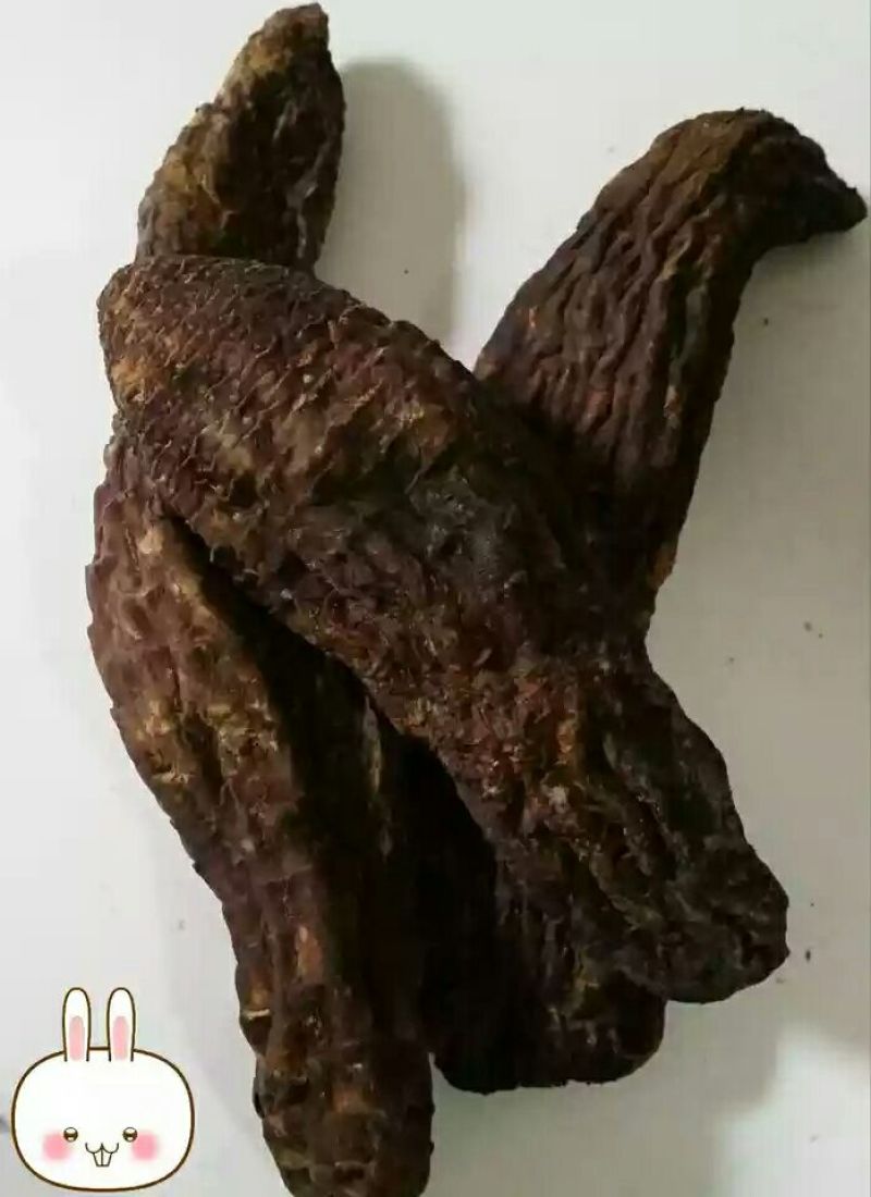 新疆于田肉苁蓉干货