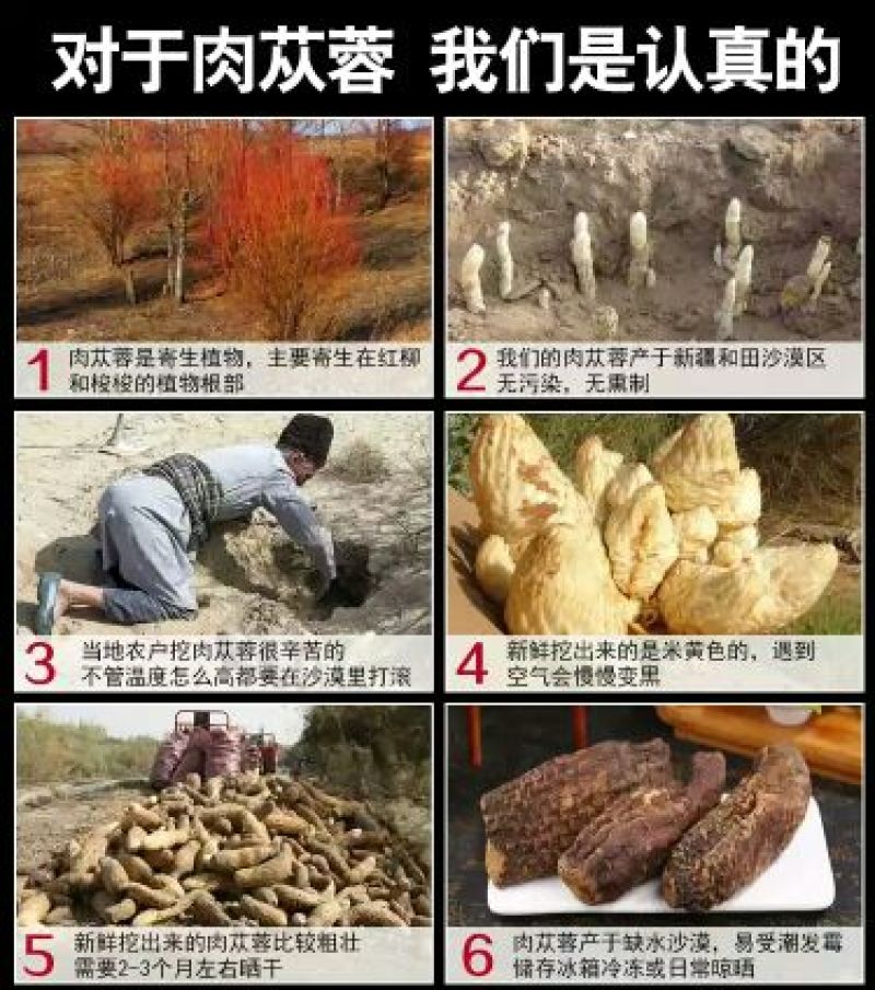 新疆于田肉苁蓉干货