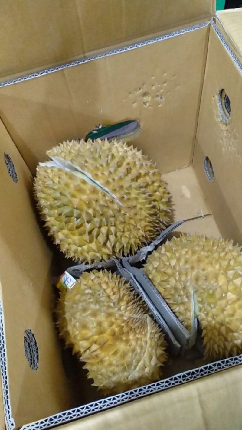 泰国金枕榴莲。