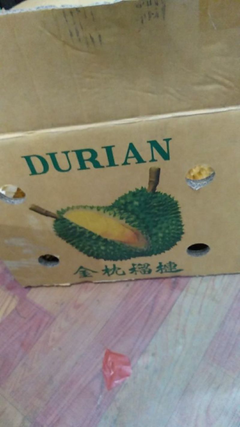 泰国金枕榴莲。
