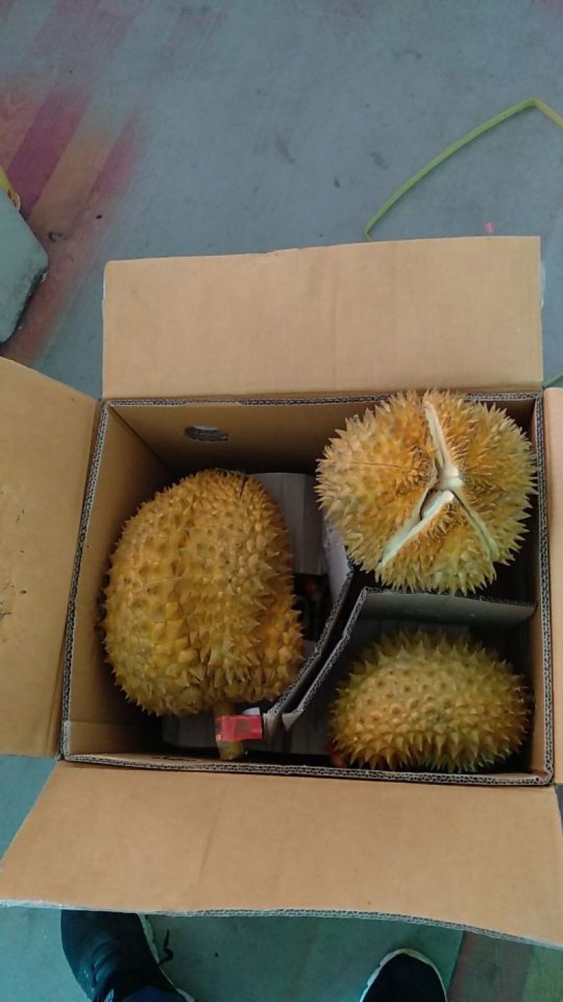泰国金枕榴莲。