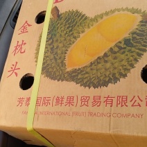泰国金枕榴莲。